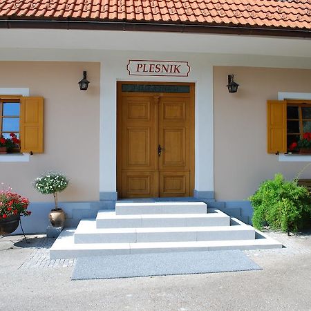 Farm Stay Rotovnik - Plesnik Slovenj Gradec Ngoại thất bức ảnh