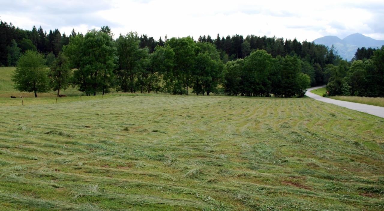 Farm Stay Rotovnik - Plesnik Slovenj Gradec Ngoại thất bức ảnh