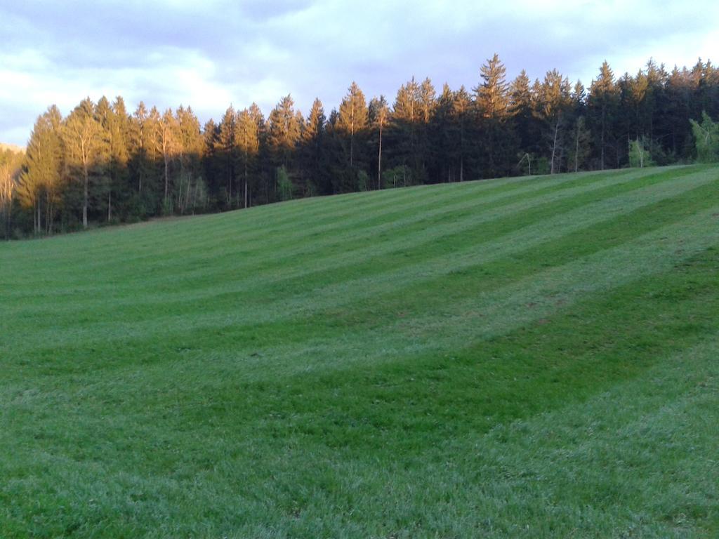 Farm Stay Rotovnik - Plesnik Slovenj Gradec Ngoại thất bức ảnh